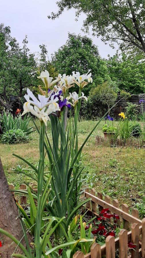 Maison Lumineuse Et Spacieuse Avec Jardin Arbore لا فاليت دو فار المظهر الخارجي الصورة